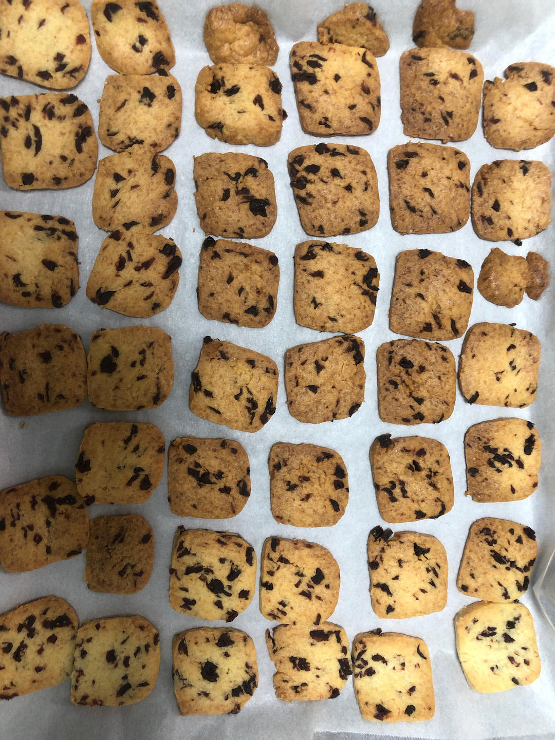 蔓越莓饼干--新手烘焙0压力 #皮黑森林#