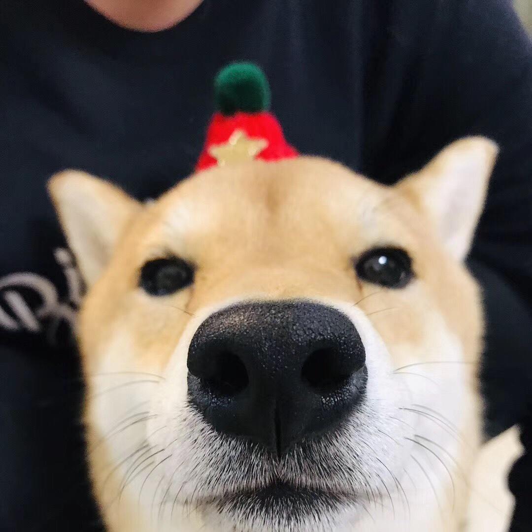 亭美食