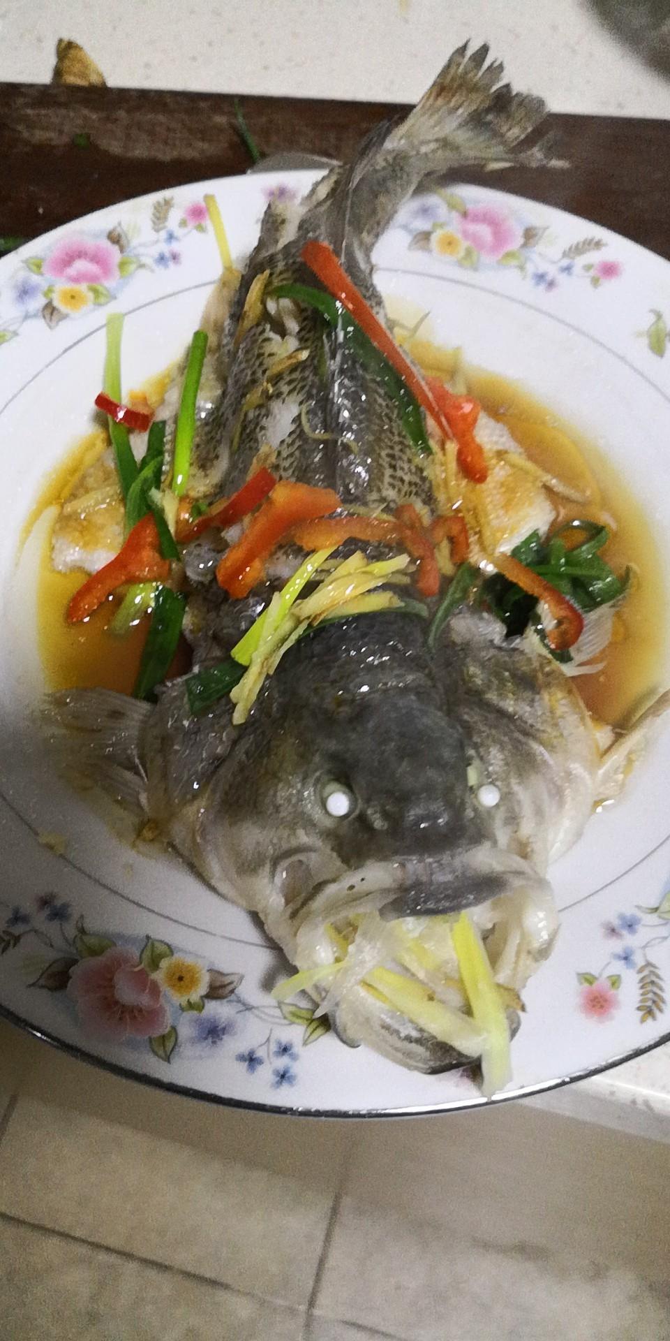 清蒸鲈鱼(家常版)的做法