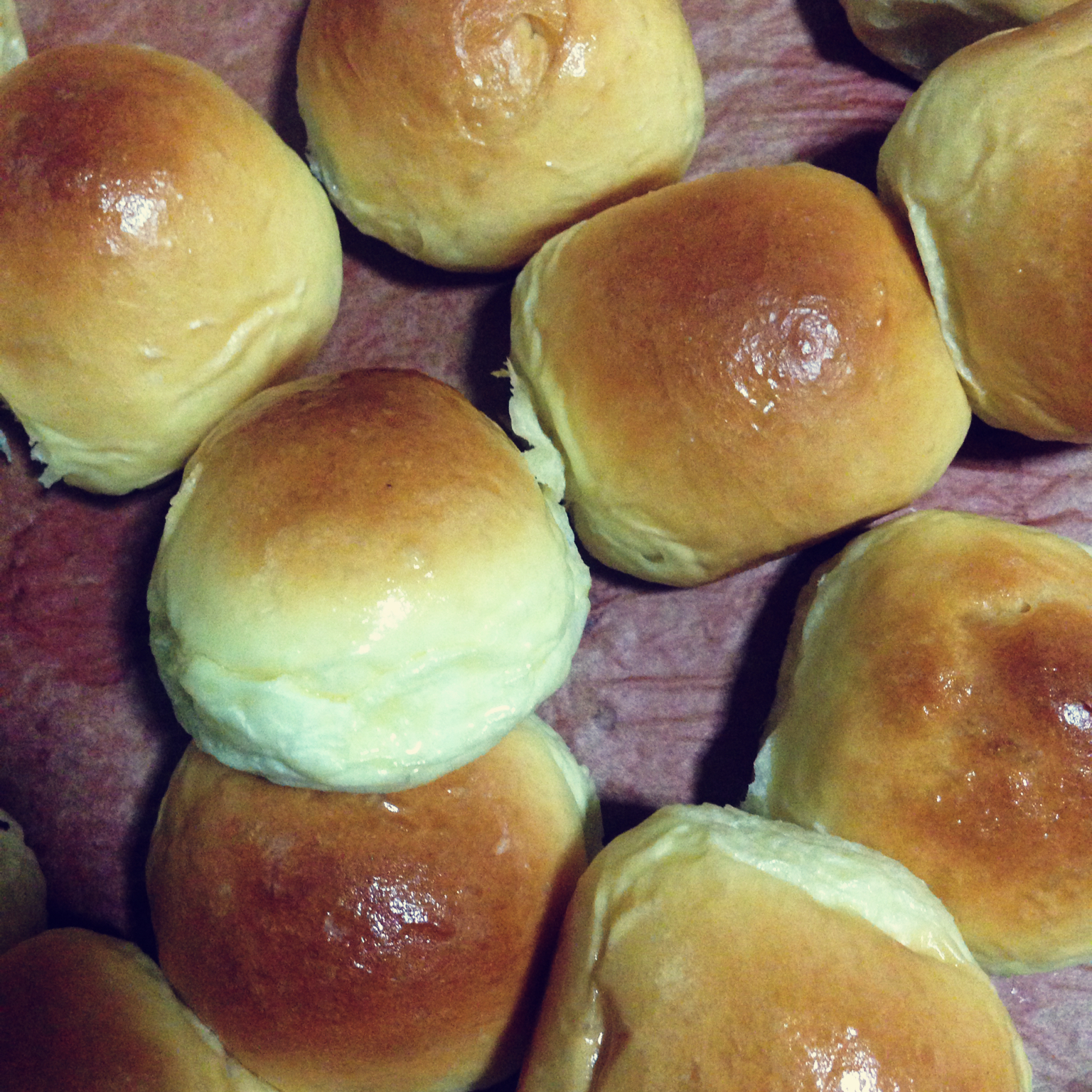 鲜奶油小餐包（一次发酵）