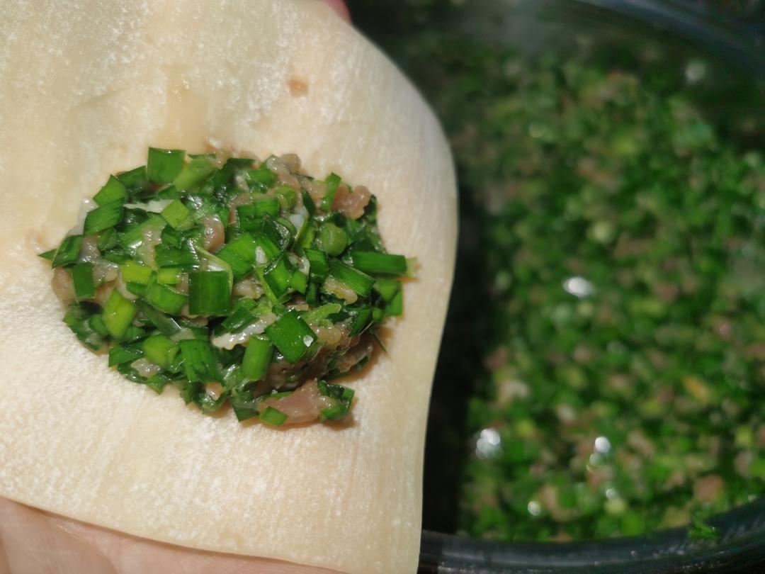 韭菜饺子🥟