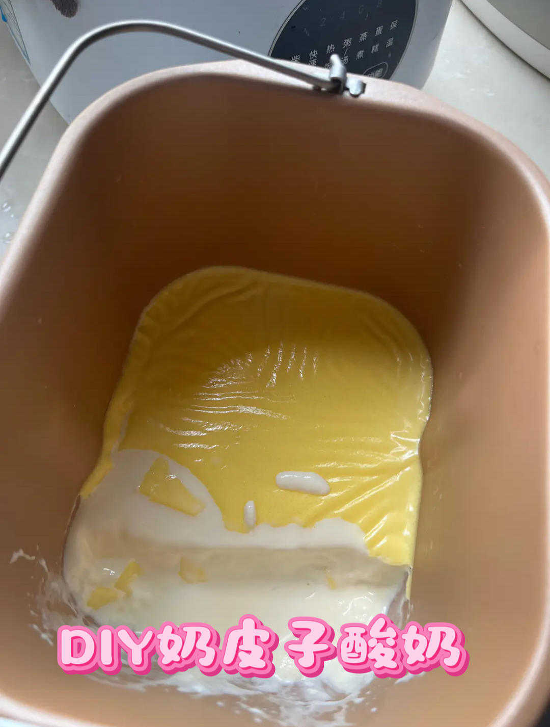 酸奶机下的奶皮子酸奶的做法