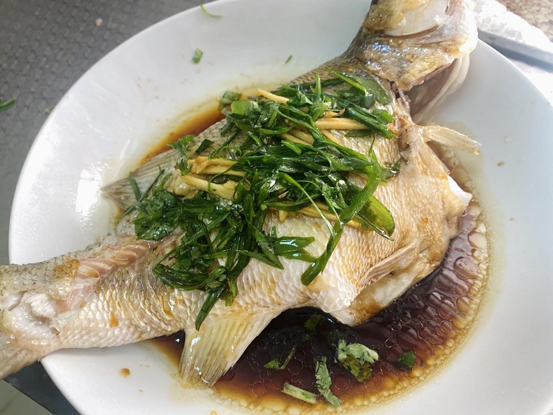 清蒸鲈鱼