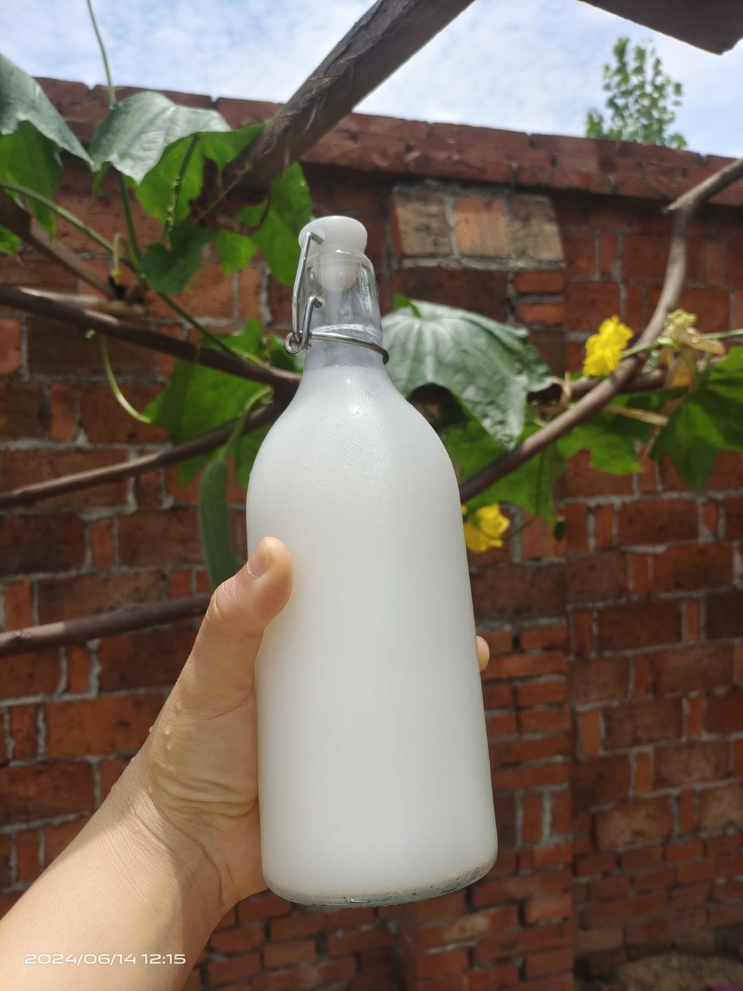 超简单的剩米饭米酒