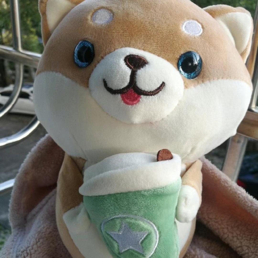 光电池烤羊羊羊