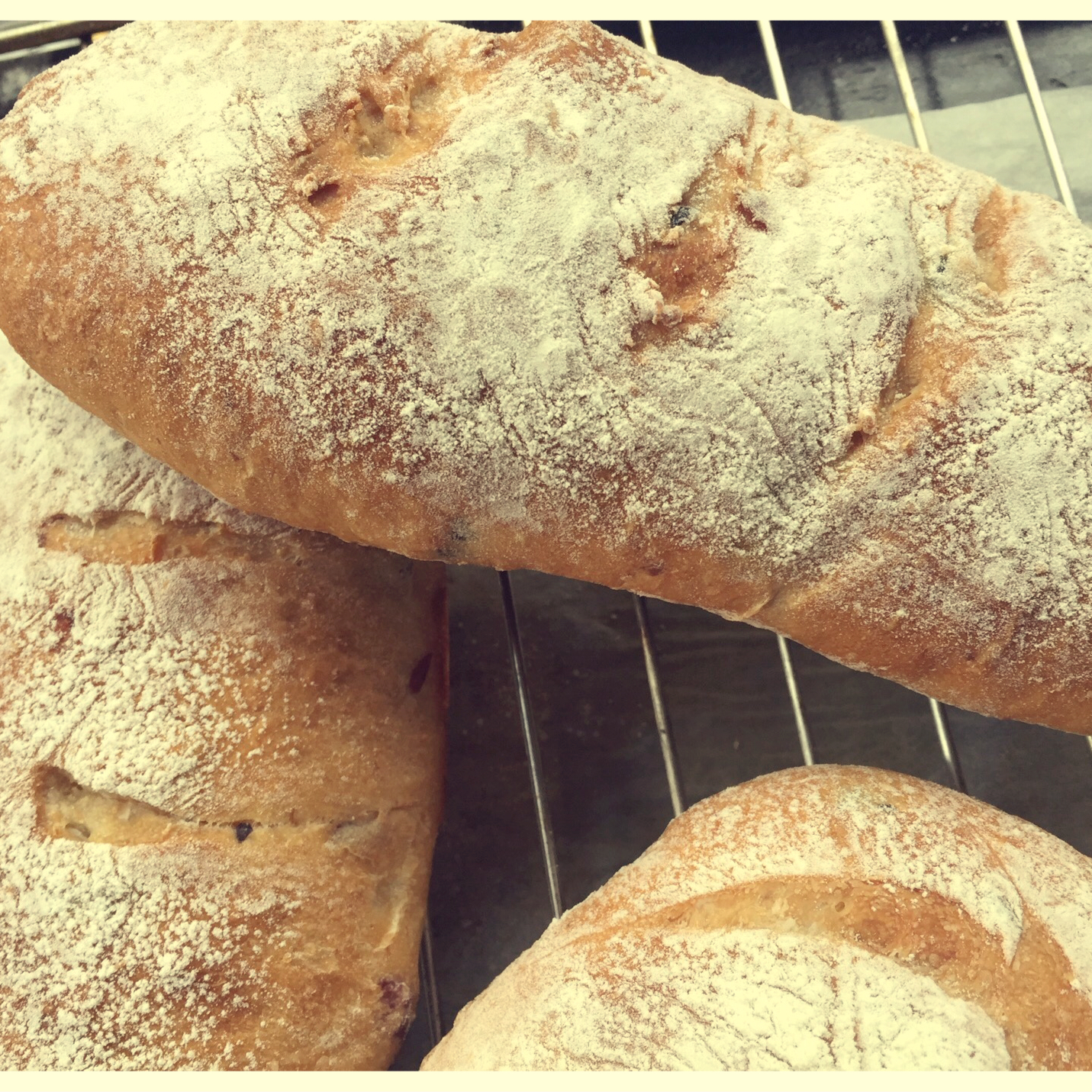 全麦蔓越莓乳酪软欧（附法国老面配方）