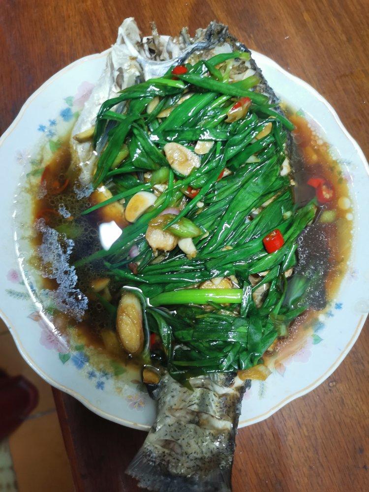 9267_4v92做的清蒸边鱼