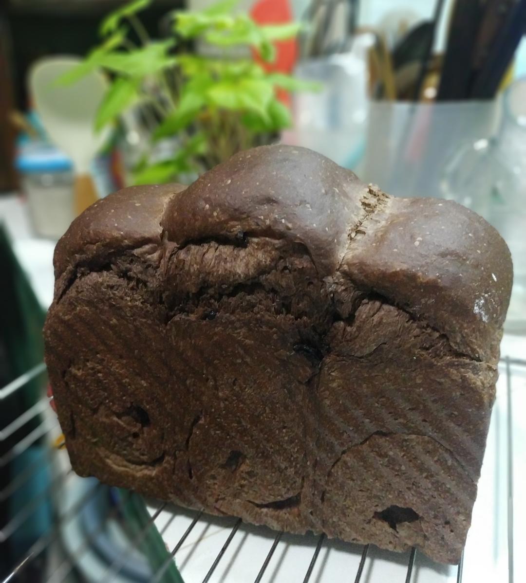 巧克力蔓越梅吐司~天然酵种(或波兰种)