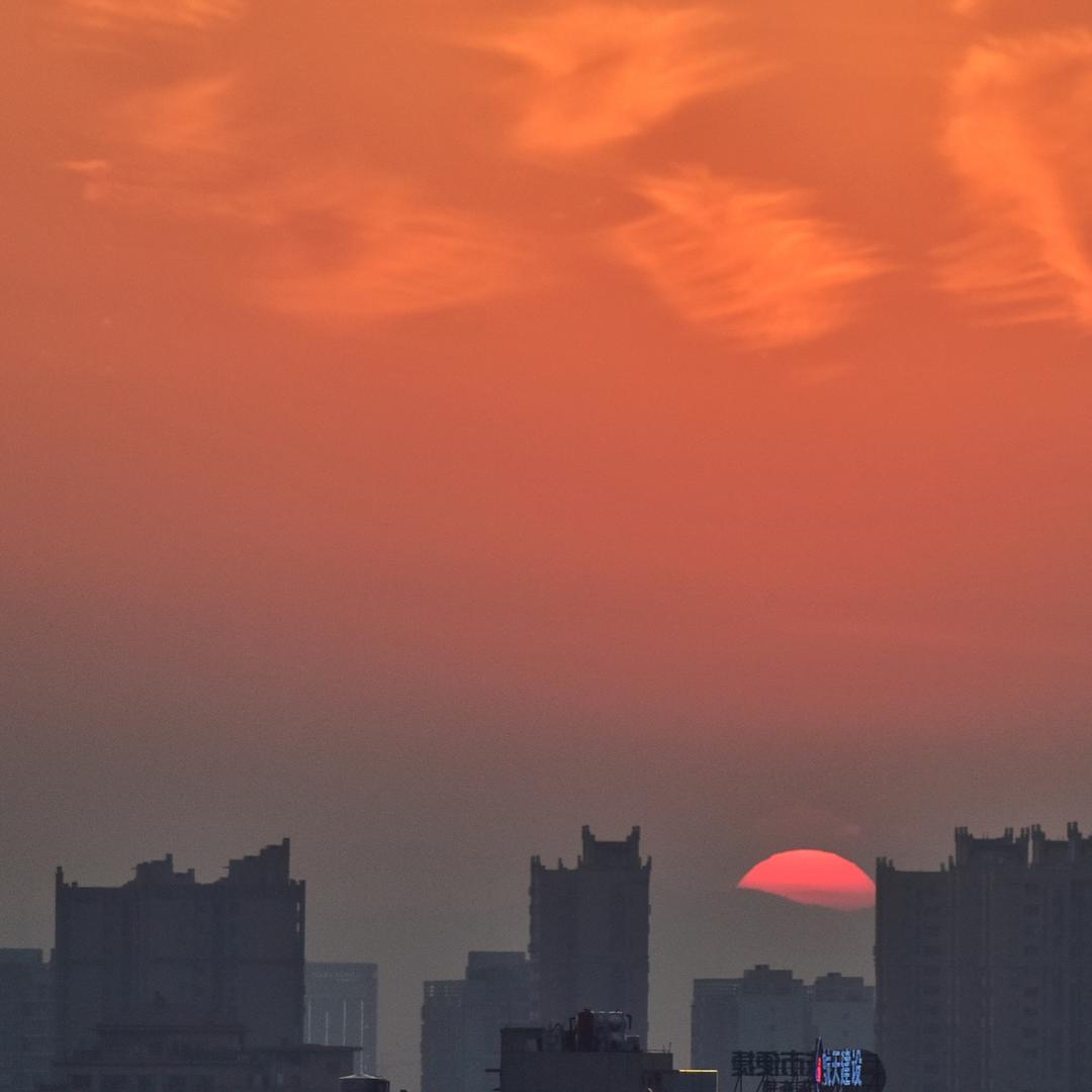 撕禽