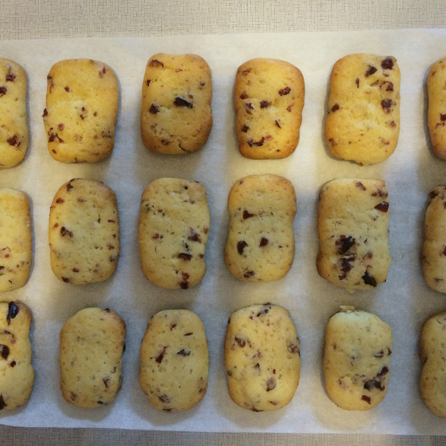 蔓越莓饼干--新手烘焙0压力 #皮黑森林#