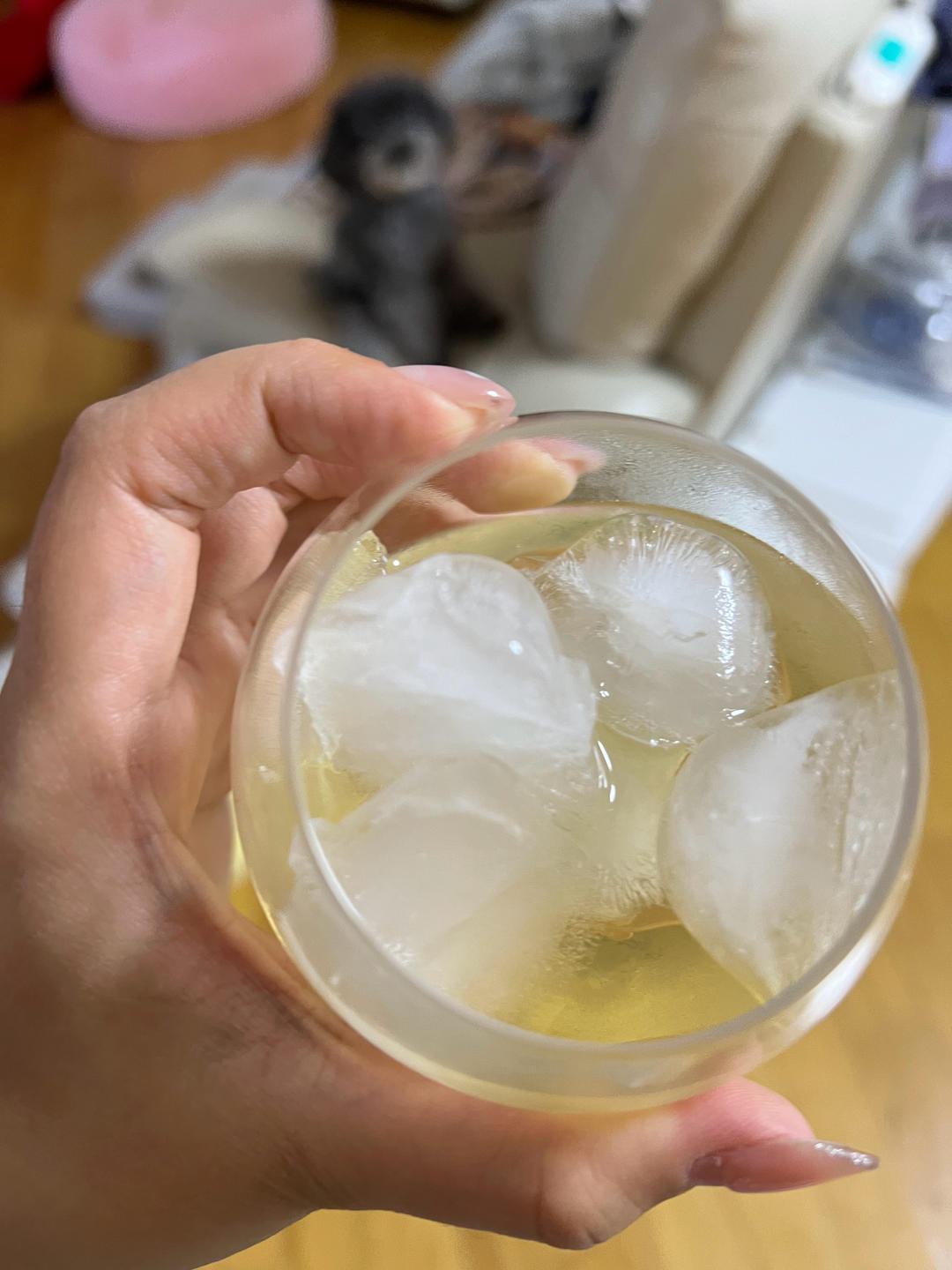 康普茶/红茶菌 Kombucha