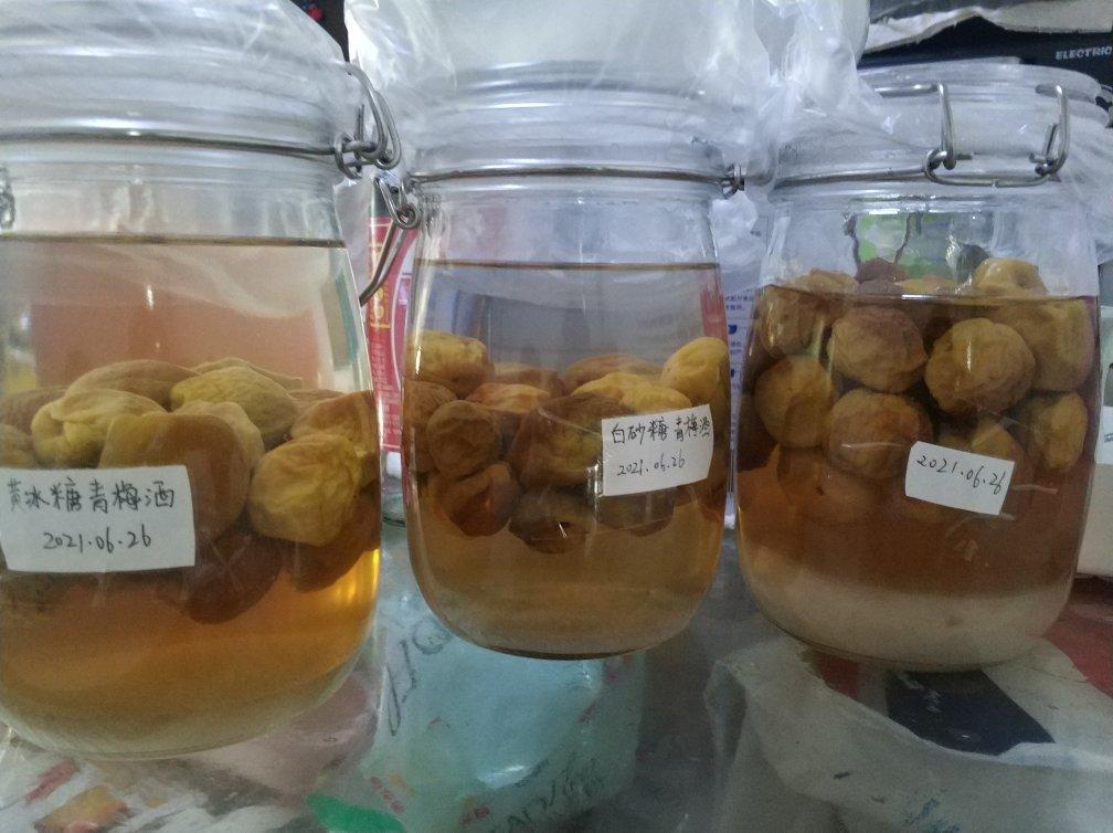 零失败【青梅酒 & 梅子露】梅子的沉淀岁月