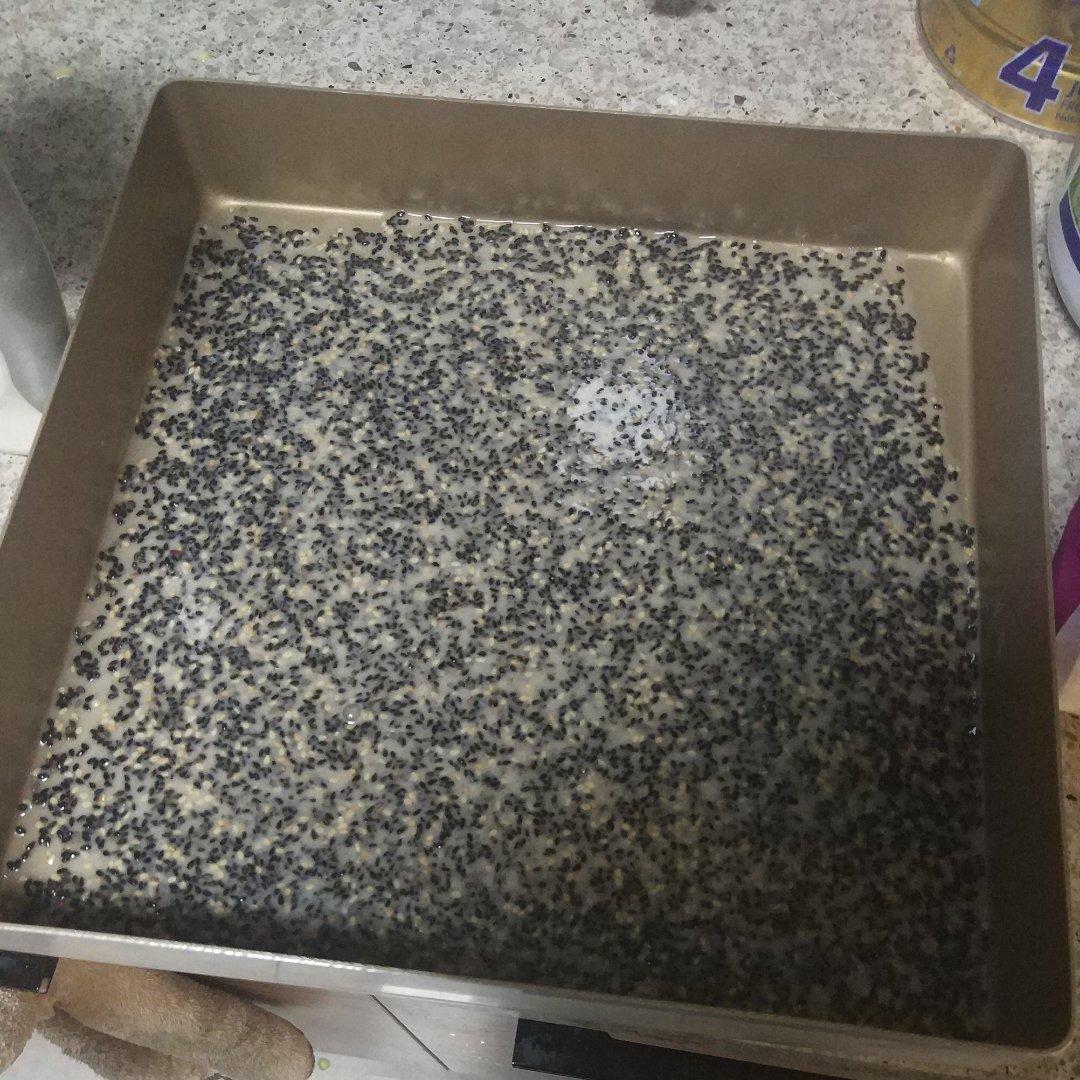 零失败香酥芝麻脆片