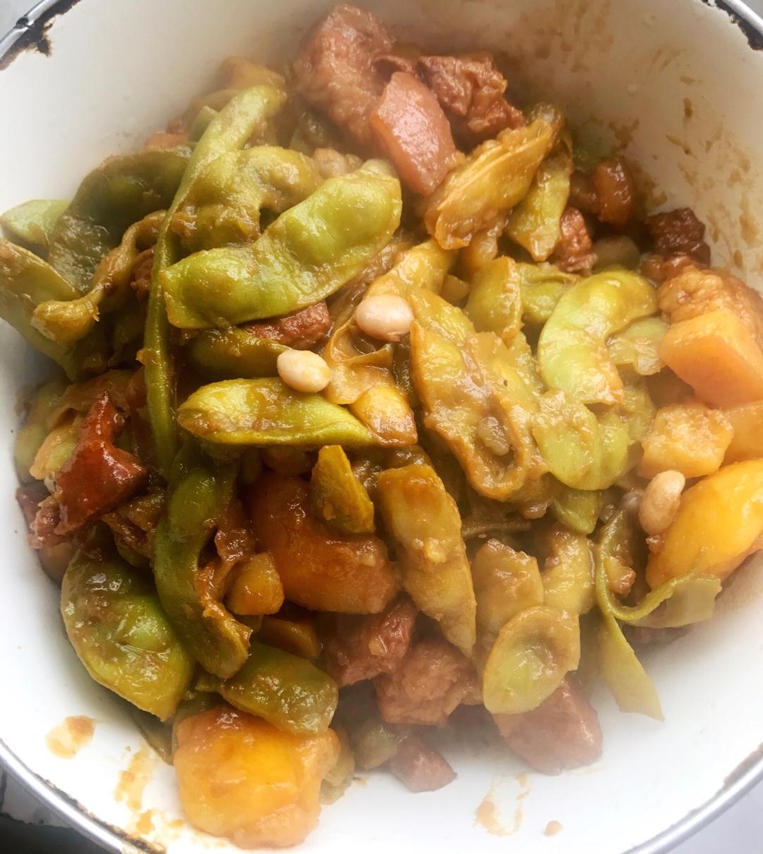 六指琴魔_0605做的猪肉炖豆角(正宗东北版)