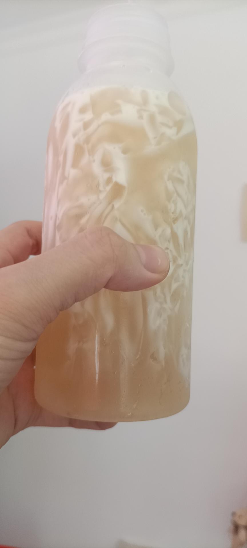 简易版海底椰膏