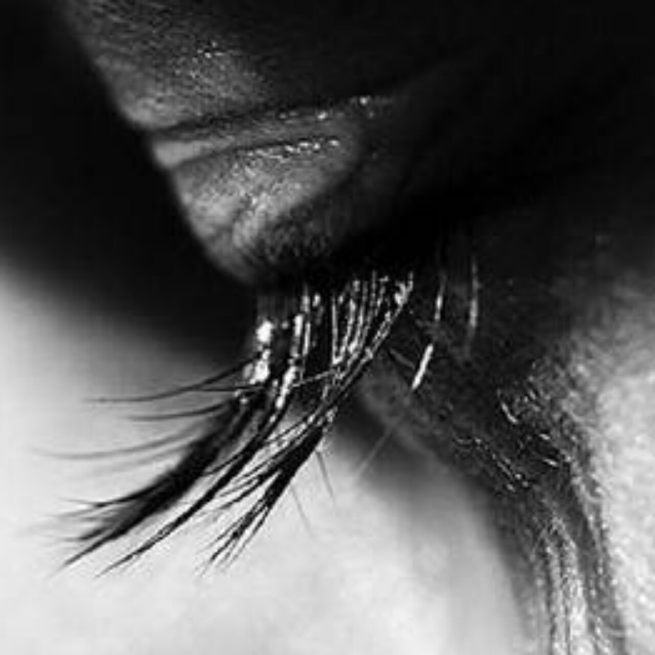 手机用户0323_udvj