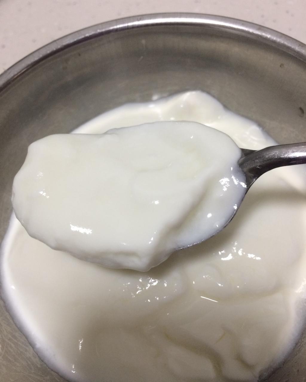 自制酸奶（柏翠面包机版）