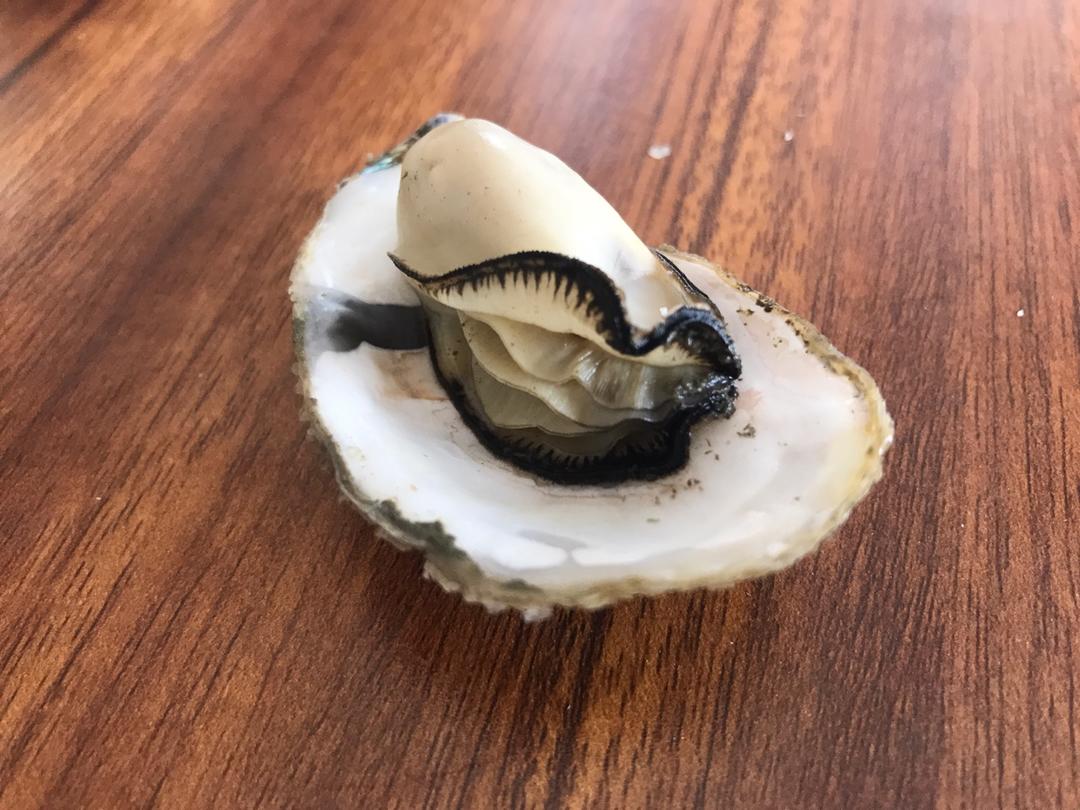 堪比烤生蚝的高压锅生蚝