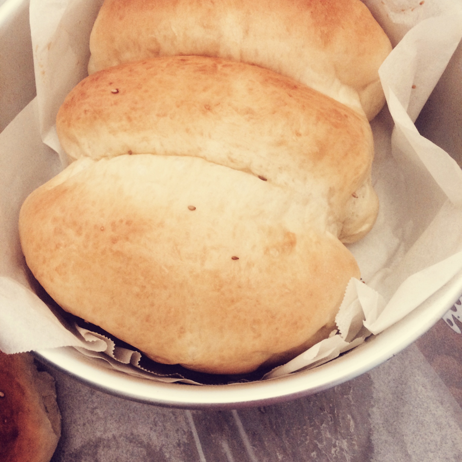 基础面包制作 Basic Bread (Loaf&Roll)