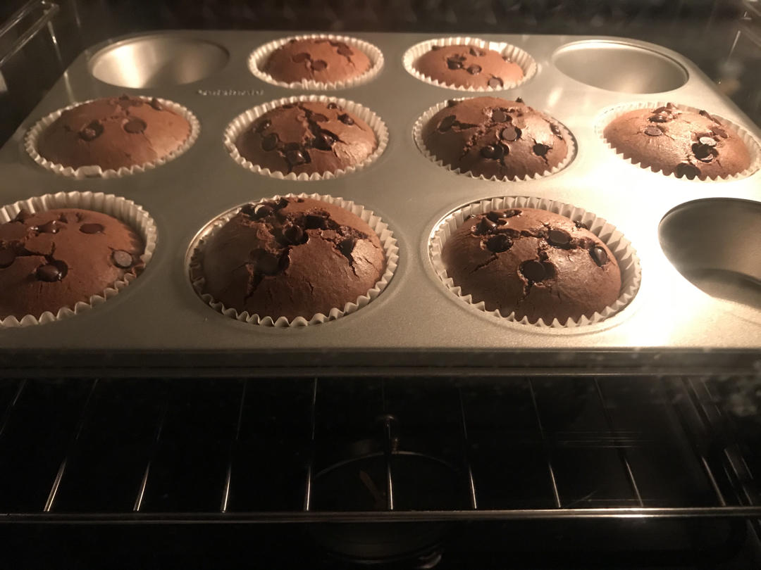 太完美了！超级浓郁松软绵密的巧克力豆小蛋糕，底不凹，顶不塌，操作简单，容易上手，快来试试吧！