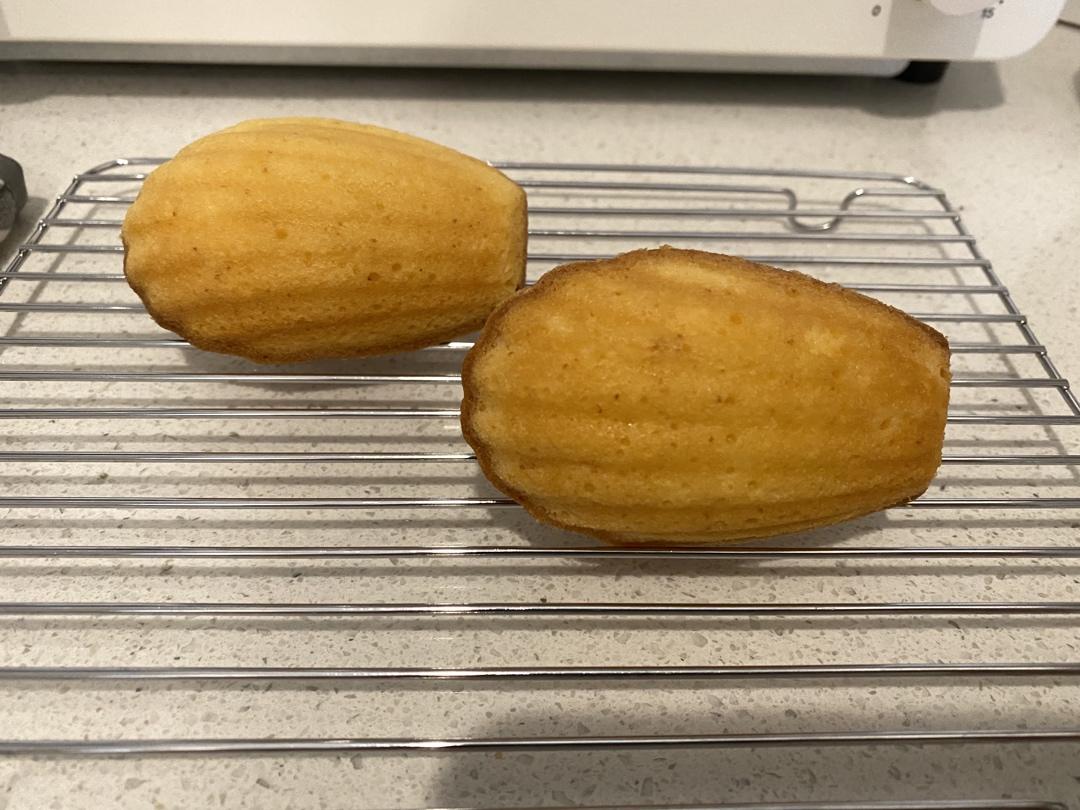 《Tinrry+》柠檬玛德琳