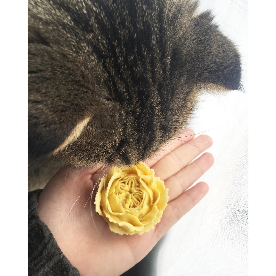 豆沙裱花视频