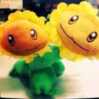 爱喝乌龙茶的Janice