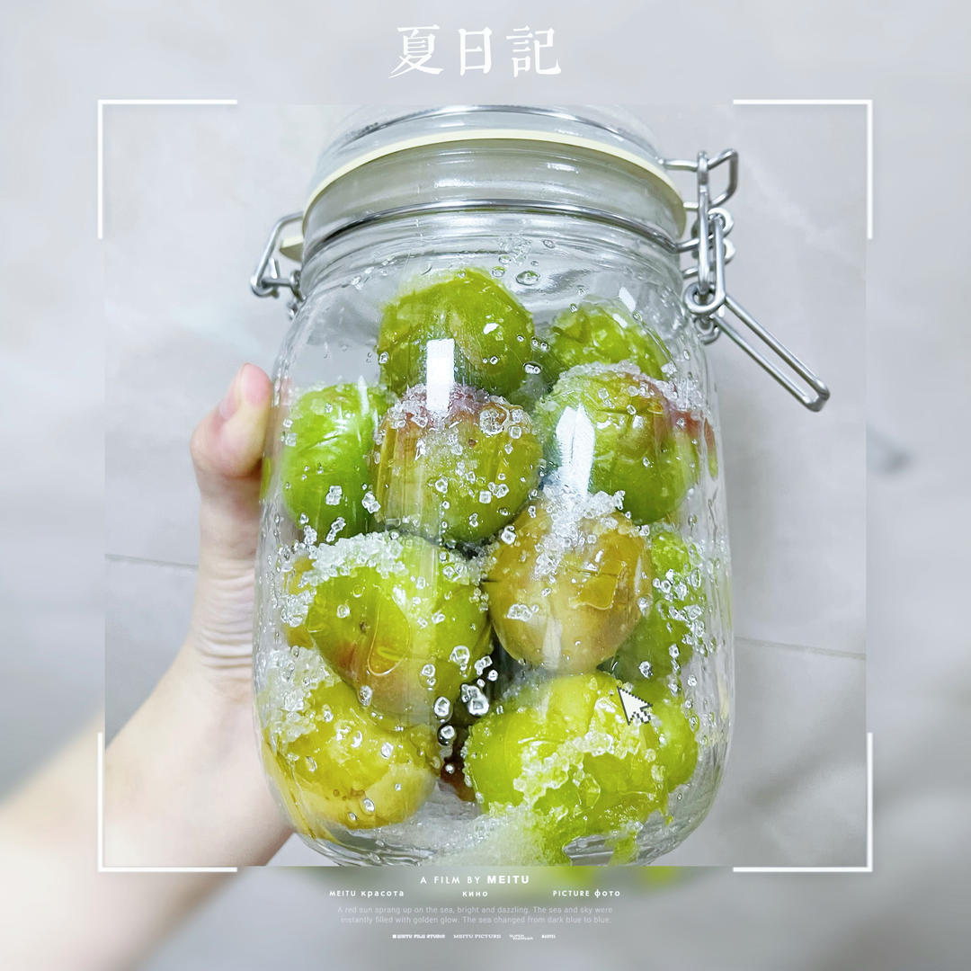 糖渍李子