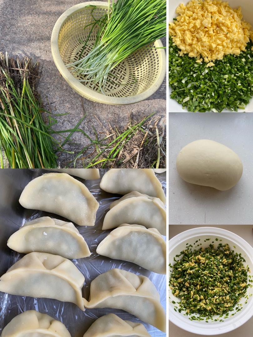 经典的韭菜鸡蛋馅儿饺子 怎么吃都不会腻