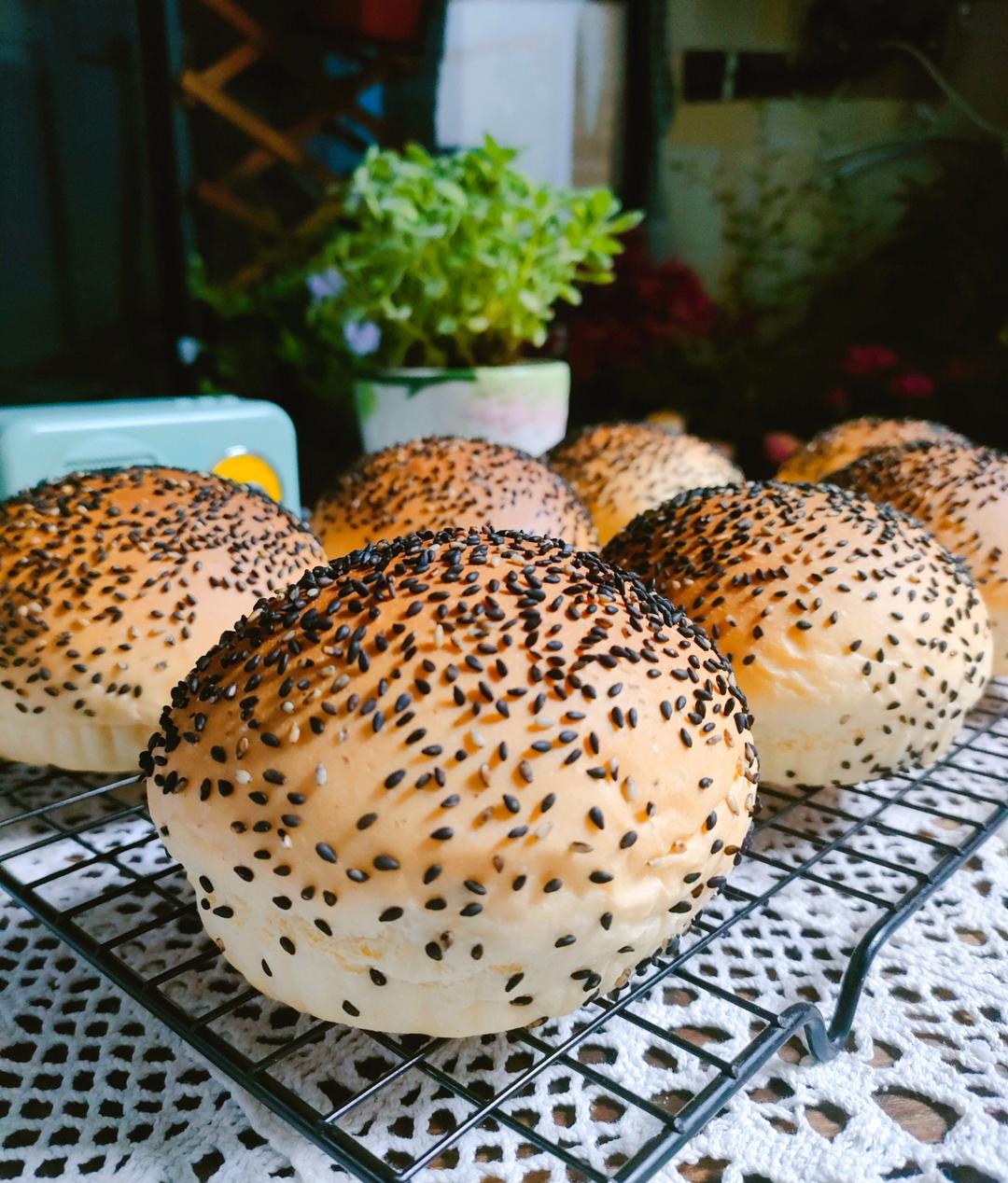 基础牛奶小餐包/汉堡胚/吐司（一次发酵，极简原料）