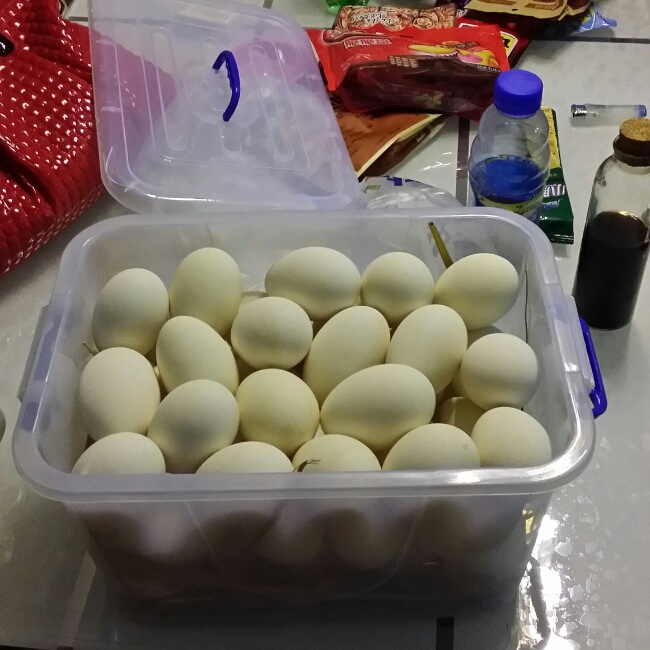 刘晨曦做的冰糖炖鹅蛋