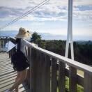 爱吃三丁拌饭的团团