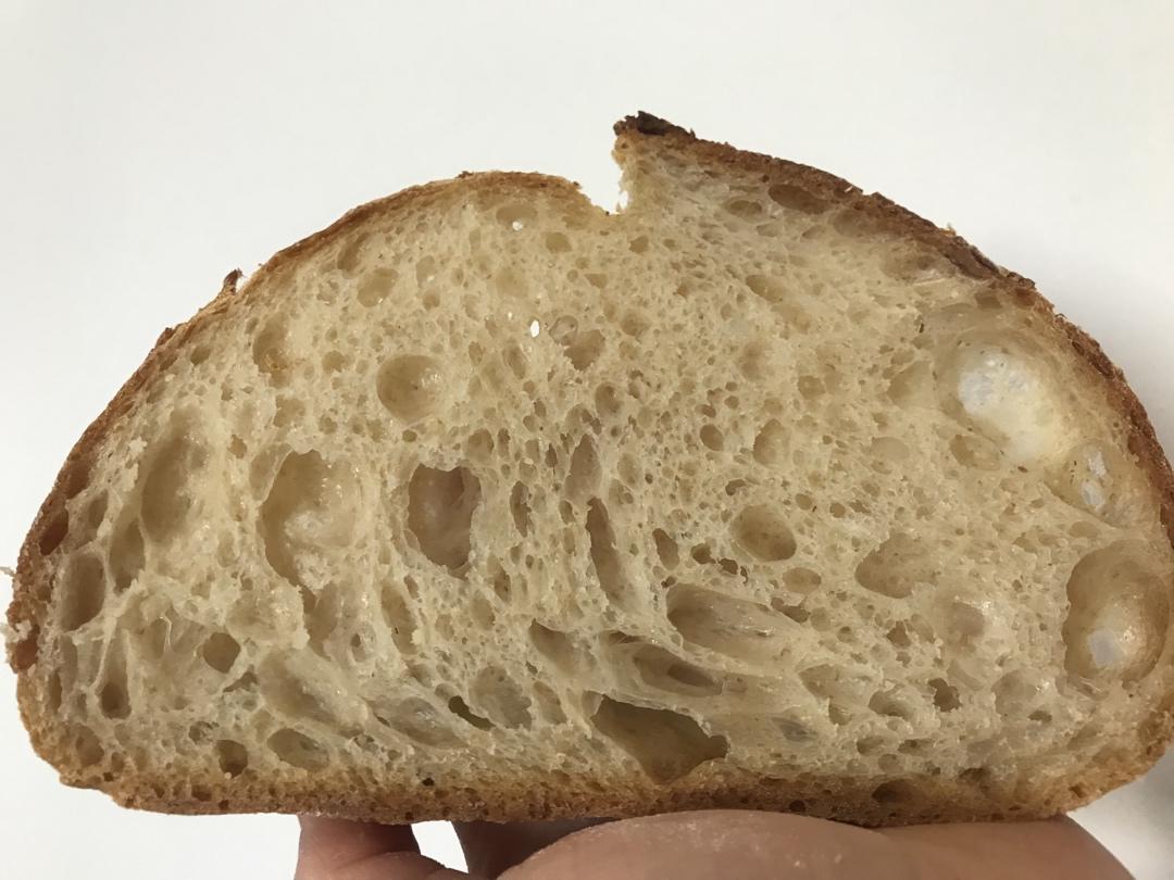 视频教程 天然酵种欧包 基础配方＆制作流程