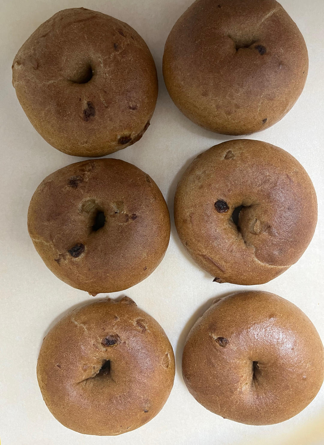 肉桂提子全麦贝果～免揉 没有厨师机也能做