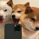 阿斯塔耶