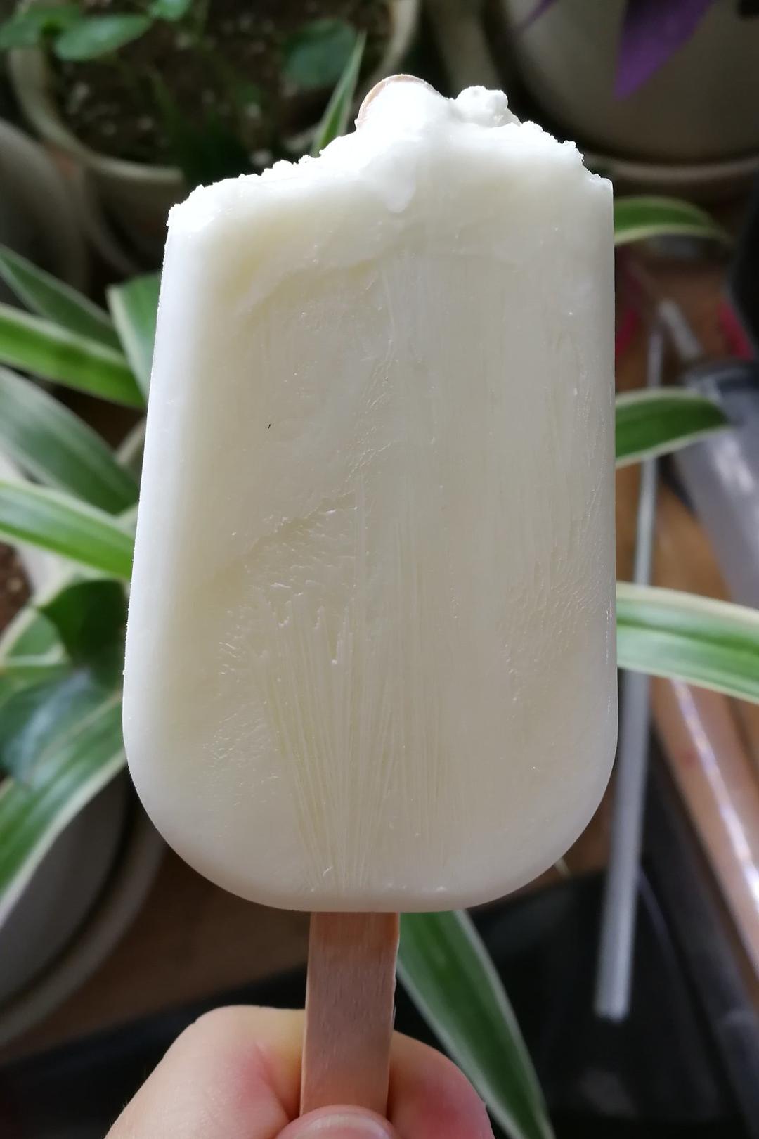 最简单快手的雪糕——酸奶雪糕（附变化版本）