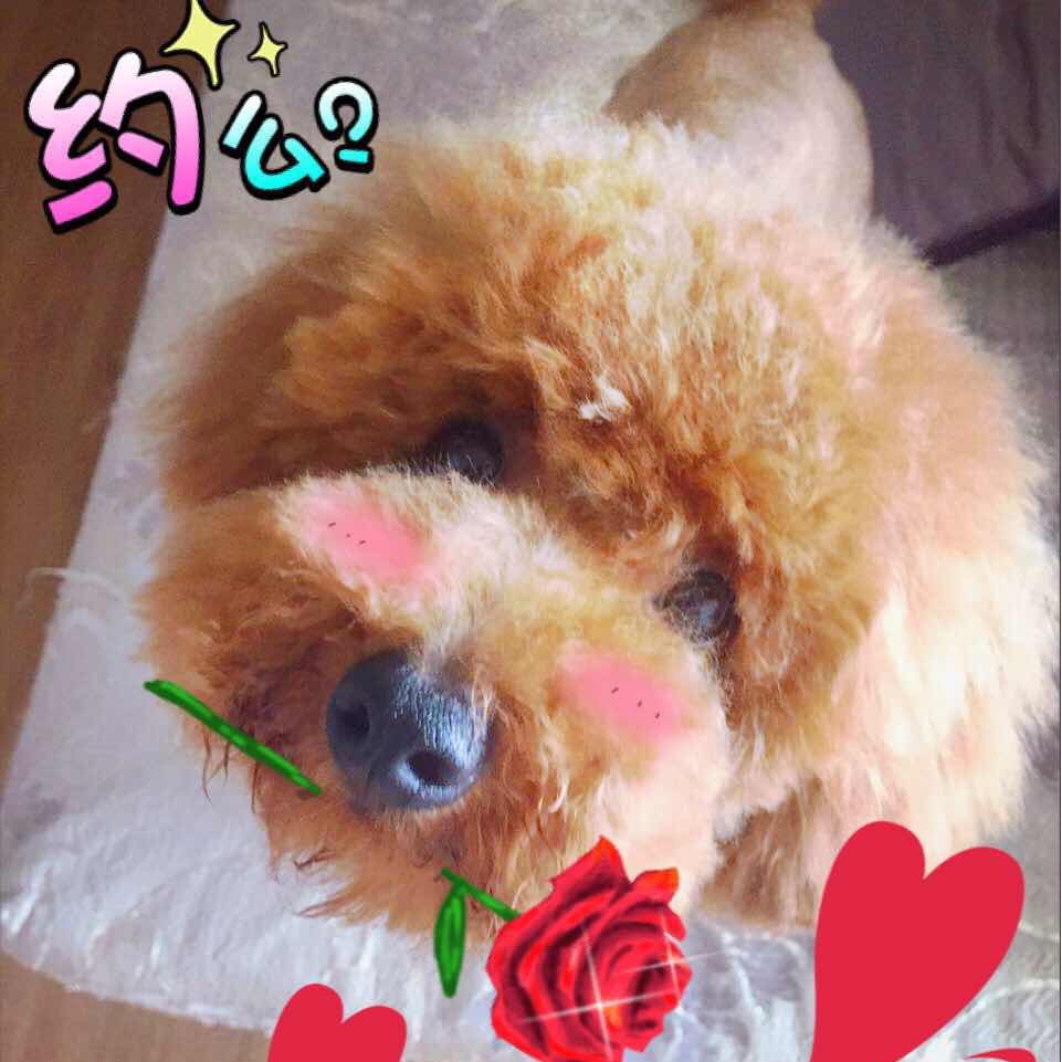 手机用户3101_6zju