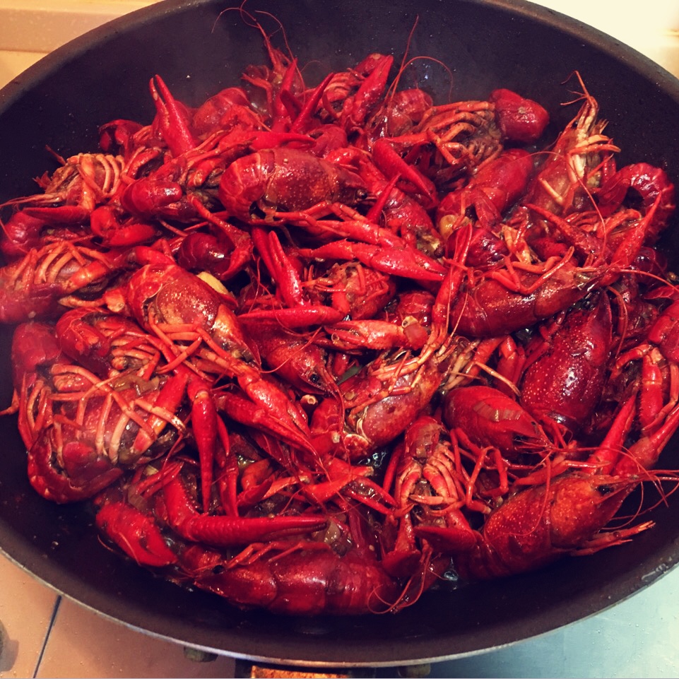 记录，是为了更好的行走。