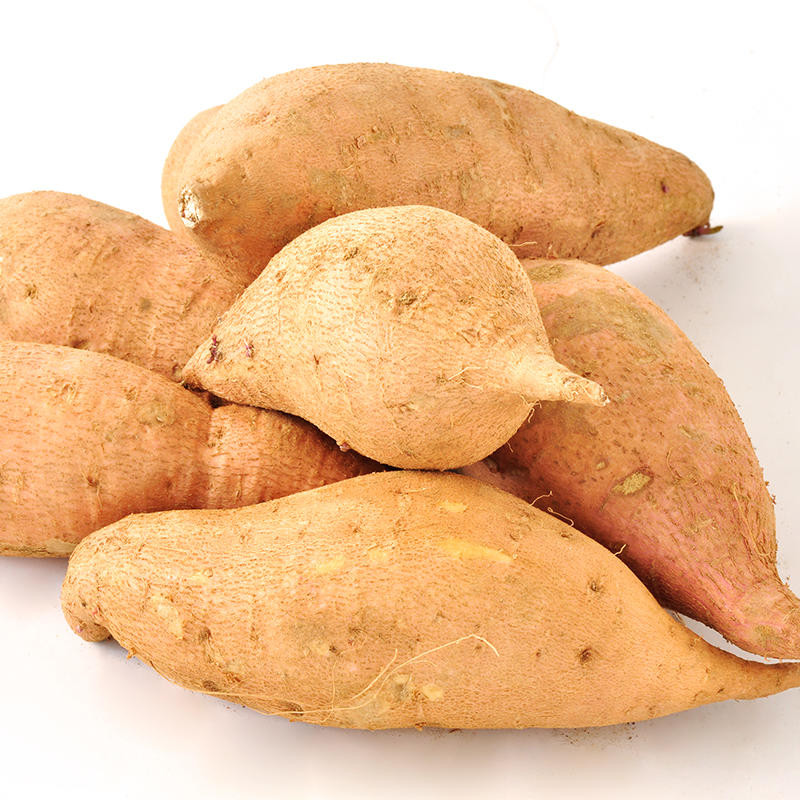 壹亩地瓜丨粉糯甘甜黄心地瓜 蜂蜜罐地瓜 4.8斤