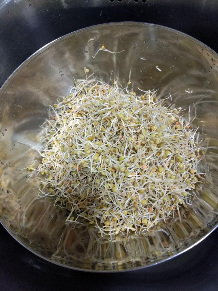 自发甘肃扁豆芽的做法
