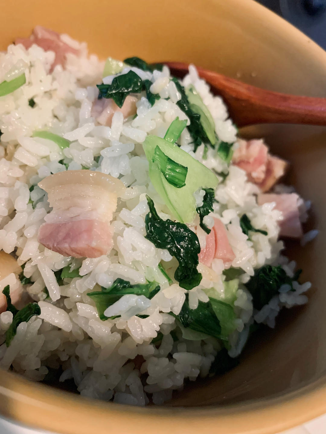 上海菜饭/上海咸酸饭（电饭煲版）