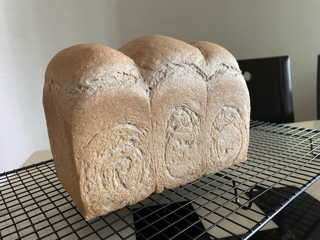 100%全麦吐司（无糖无油）