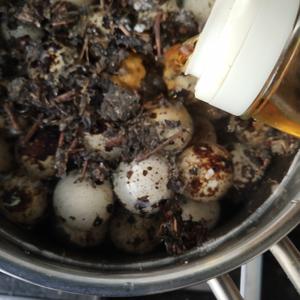 茶叶卤鹌鹑蛋(可杜坎)的做法 步骤4