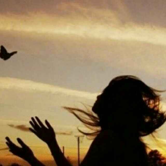 你是我的全部958