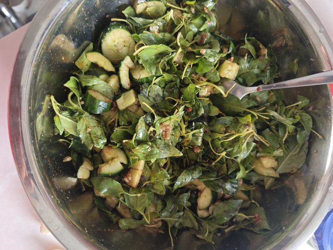 凉菜❤️拍黄瓜拌荆芥