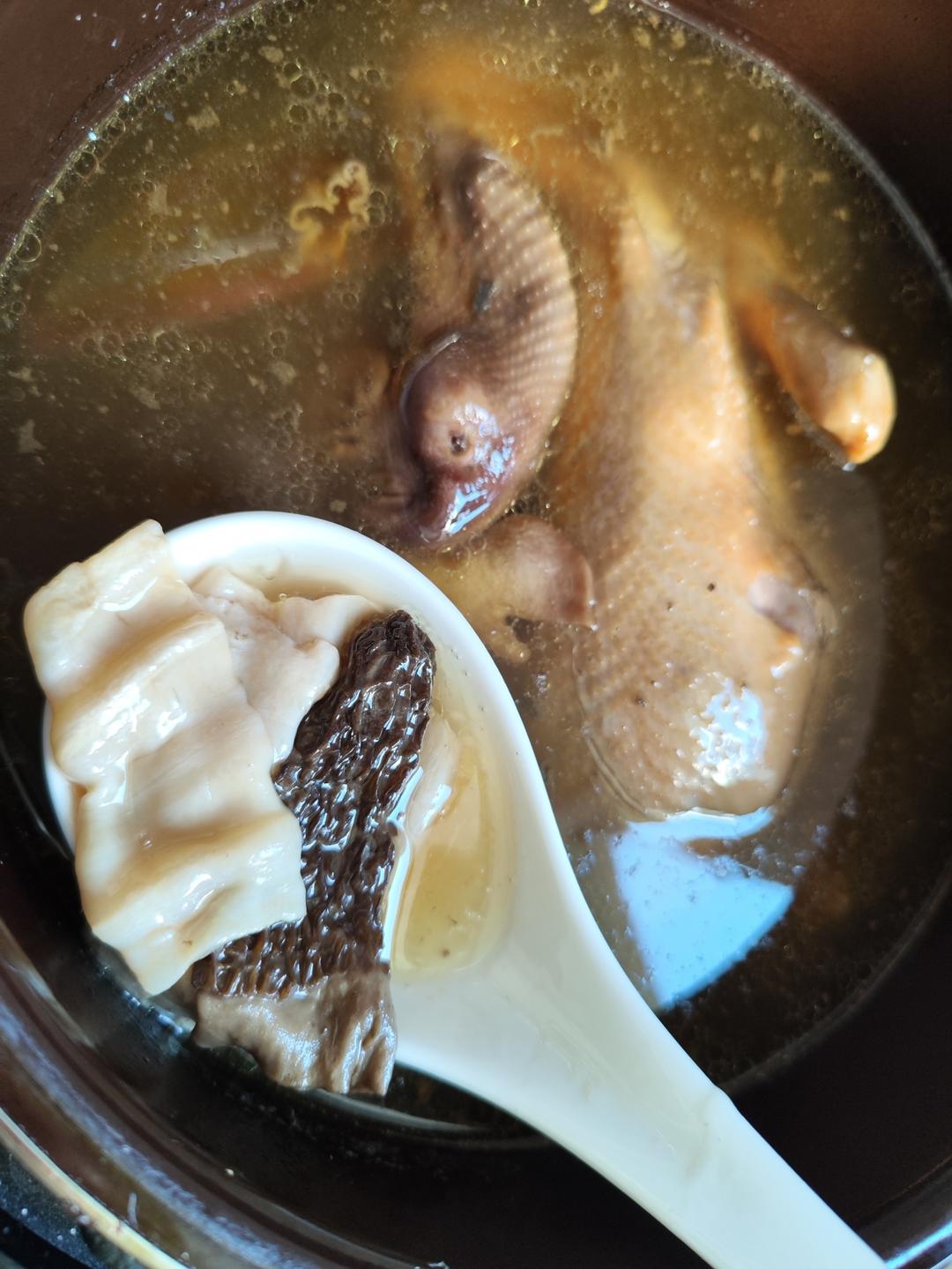 金汤花胶炖鸡煲