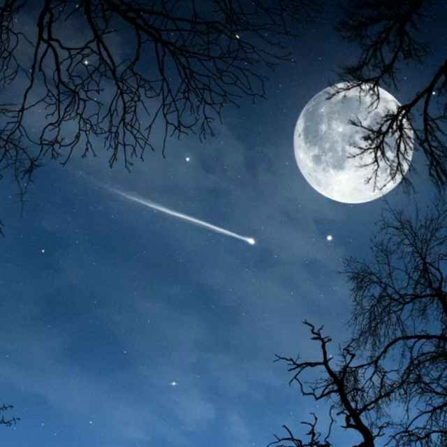 手机用户8036_t8yz的厨房