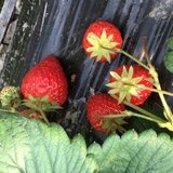 手机用户7569_36w1