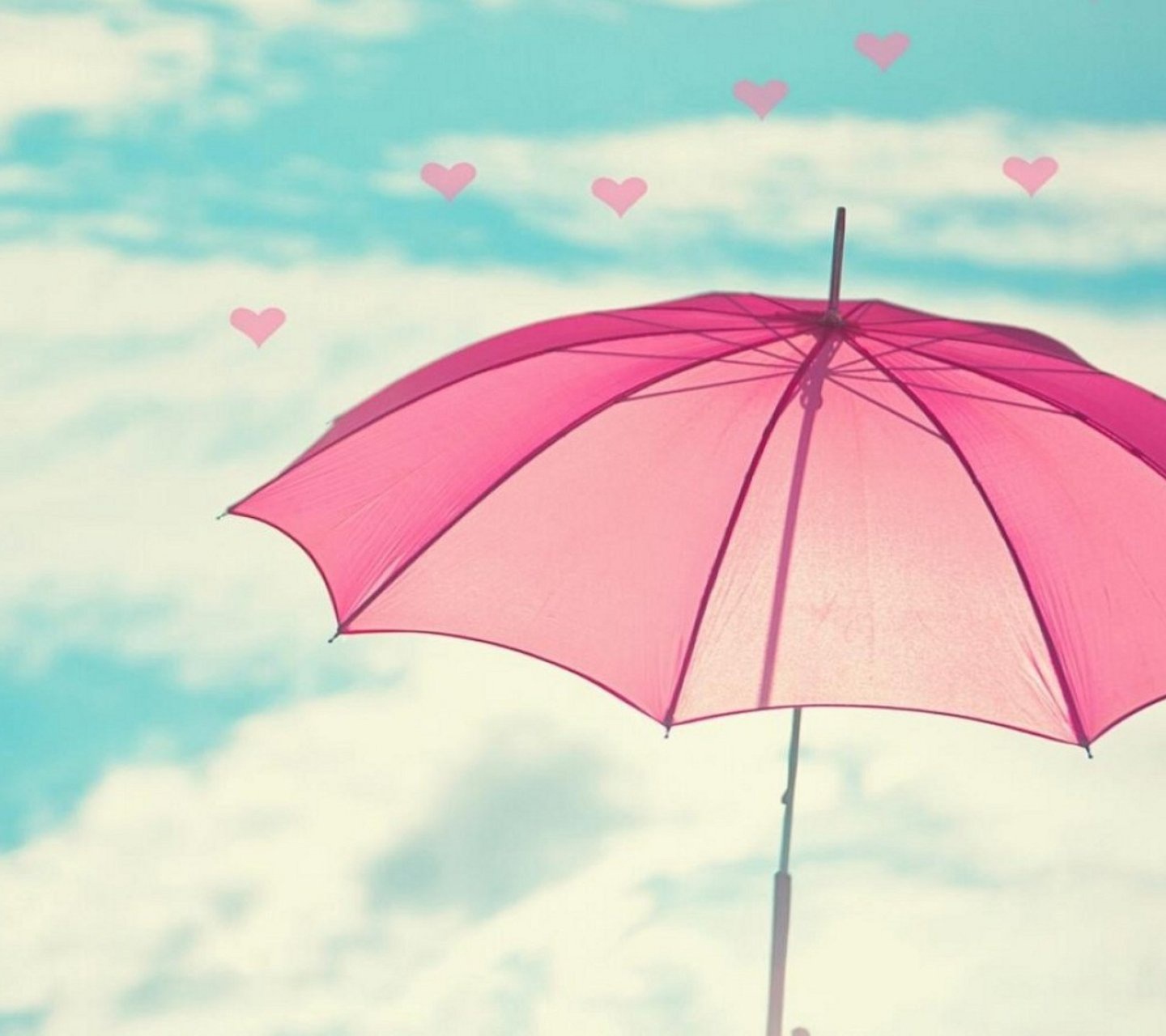 粉红雨伞