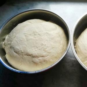中种面包（多造型）的做法 步骤5